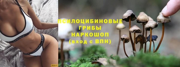 дживик Наволоки