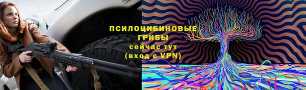 дживик Наволоки