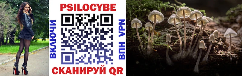 Галлюциногенные грибы GOLDEN TEACHER  Купить закладки  Палласовка 